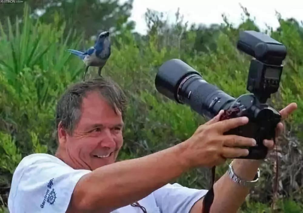 ͼƬ