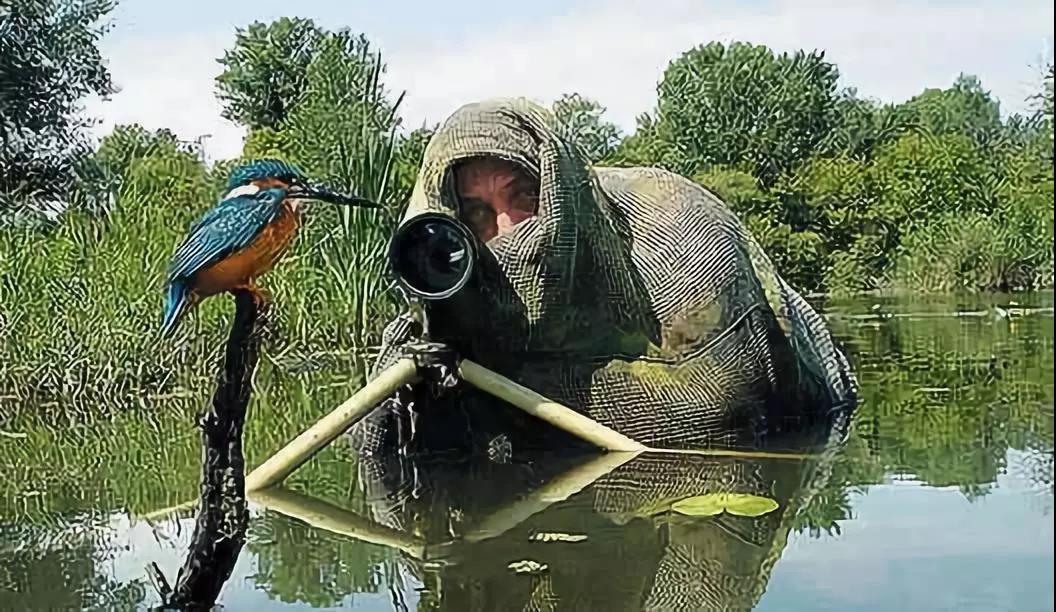 ͼƬ